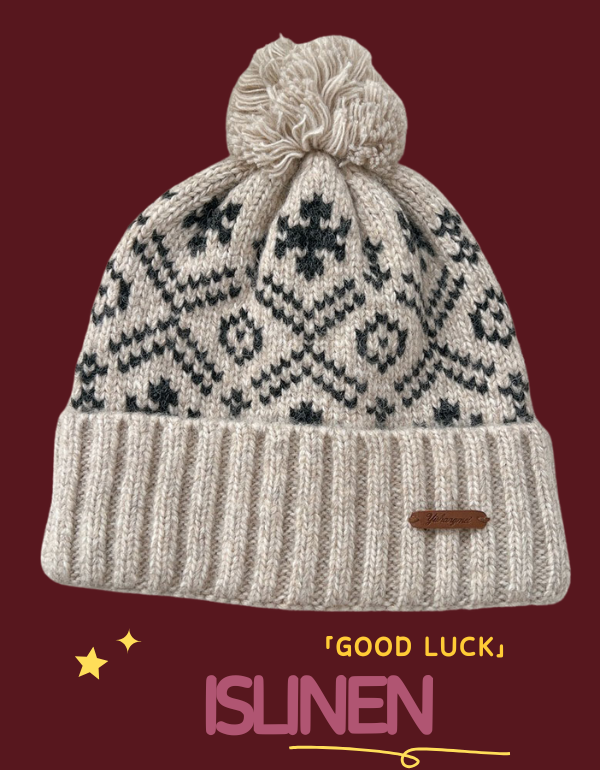 Winter Christmas Snowflake Pattern Knit Hat for Women
