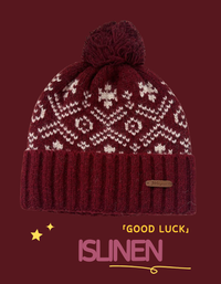 Winter Christmas Snowflake Pattern Knit Hat for Women