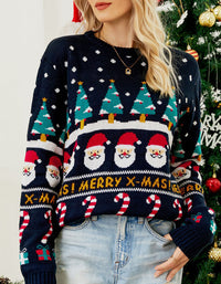 Women's Merry Christmas Santa Sweater
