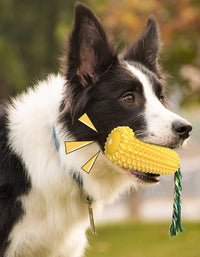 Cepillo de dientes para perros con forma de maíz que chirría